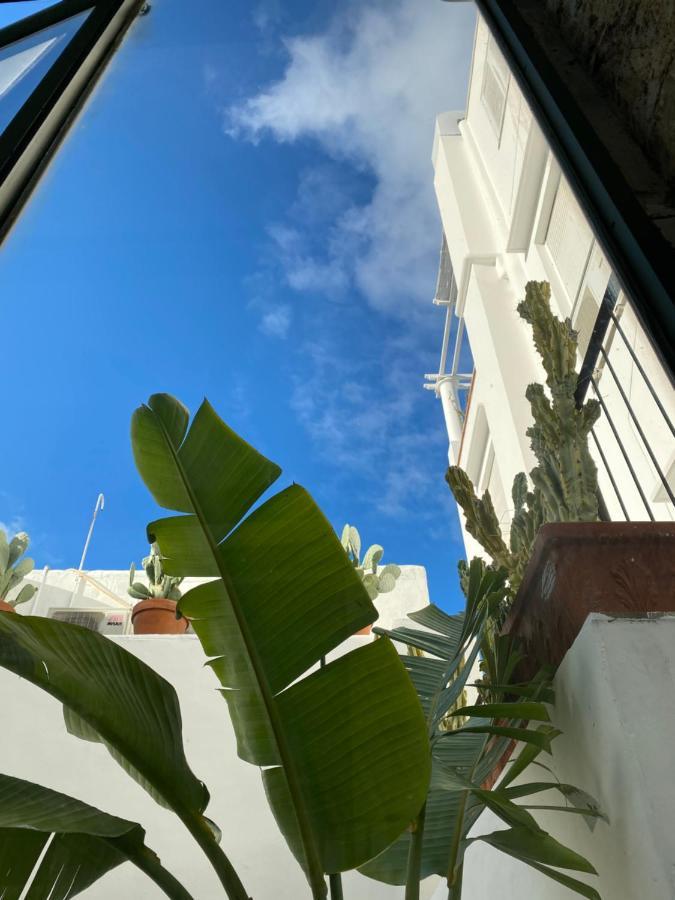 Suites Edivino Design Capri Bagian luar foto